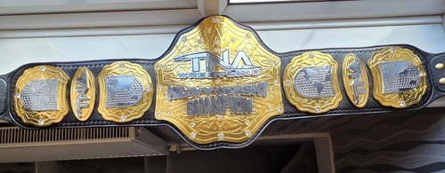 Tna wildcat world heavyweight - tna,